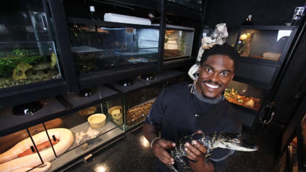 Athletes and Their Pets - 1 - Ernie Sims